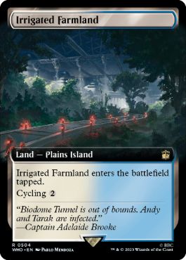 【ENG】【Foil】■拡張アート■《灌漑農地/Irrigated Farmland》[WHO]