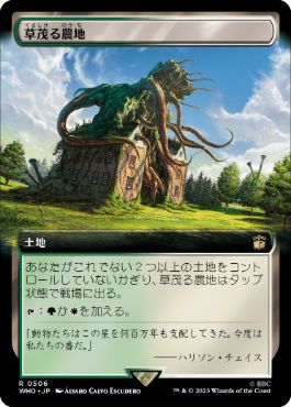 【JPN】【Foil】■拡張アート■《草茂る農地/Overgrown Farmland》[WHO]