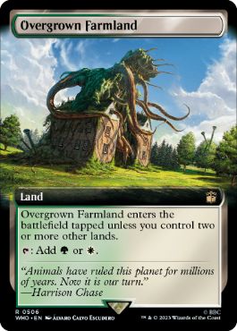 【ENG】【Foil】■拡張アート■《草茂る農地/Overgrown Farmland》[WHO]