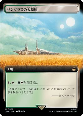 【JPN】【Foil】■拡張アート■《サングラスの大草原/Sungrass Prairie》[WHO]