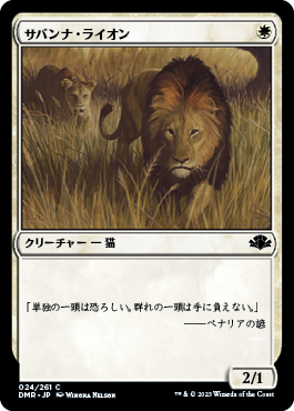 【JPN】《サバンナ・ライオン/Savannah Lions》[DMR]