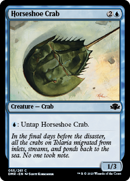 【ENG】《カブトガニ/Horseshoe Crab》[DMR]
