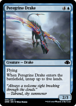 【ENG】《流浪のドレイク/Peregrine Drake》[DMR]