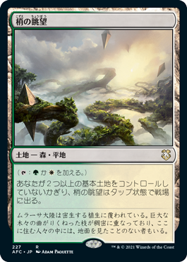 【JPN】《梢の眺望/Canopy Vista》[AFC]