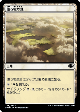 【JPN】《漂う牧草地/Drifting Meadow》[DMR]