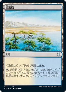 【JPN】《氾濫原/Flood Plain》[AFC]