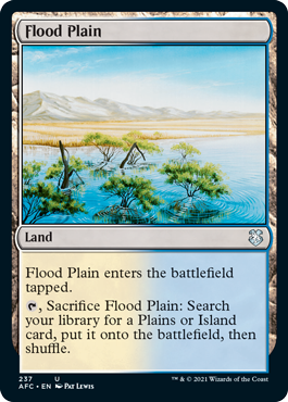 【ENG】《氾濫原/Flood Plain》[AFC]