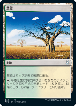 【JPN】《草原/Grasslands》[AFC]