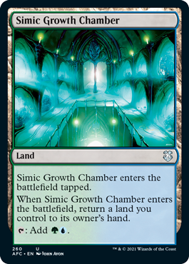 【ENG】《シミックの成長室/Simic Growth Chamber》[AFC]