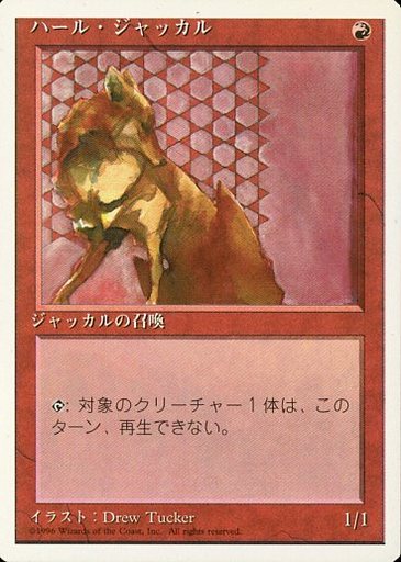 【JPN】《ハール・ジャッカル/Hurr Jackal》[4ED]