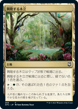【JPN】《興隆する木立/Thriving Grove》[AFC]