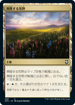 【JPN】《興隆する荒野/Thriving Heath》[AFC]