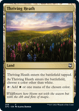 【ENG】《興隆する荒野/Thriving Heath》[AFC]