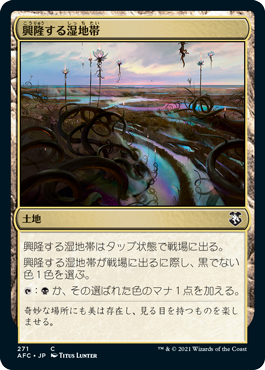 【JPN】《興隆する湿地帯/Thriving Moor》[AFC]