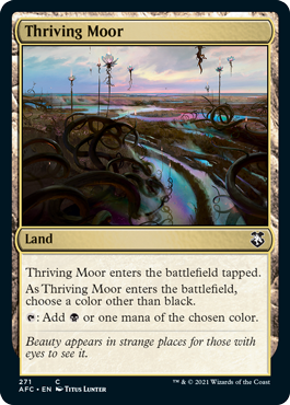 【ENG】《興隆する湿地帯/Thriving Moor》[AFC]