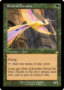 【ENG】【Foil】■旧枠■《極楽鳥/Birds of Paradise》[RVR]