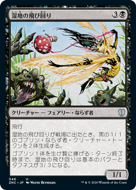 【JPN】《湿地の飛び回り/Marsh Flitter》[ZNC]