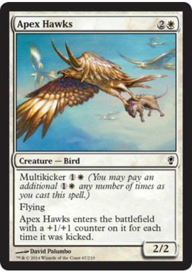 【ENG】【Foil】《天頂の鷹/Apex Hawks》[CNS]