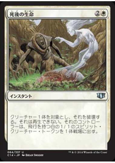 【JPN】《死後の生命/Afterlife》[C14]