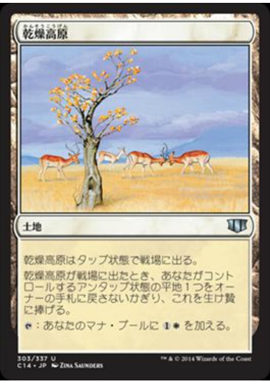 【JPN】《乾燥高原/Karoo》[C14]