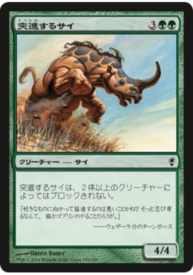 【JPN】《突進するサイ/Charging Rhino》[CNS]