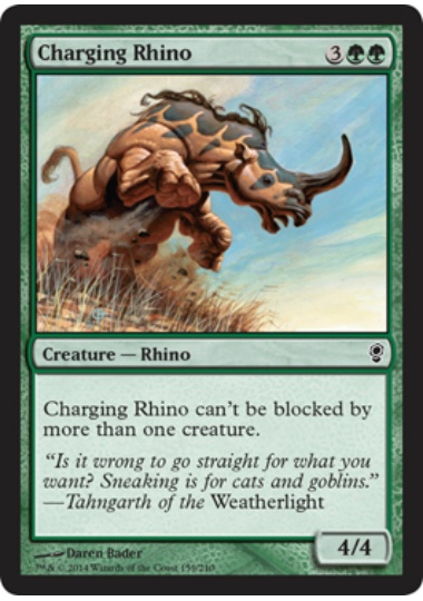 【ENG】《突進するサイ/Charging Rhino》[CNS]