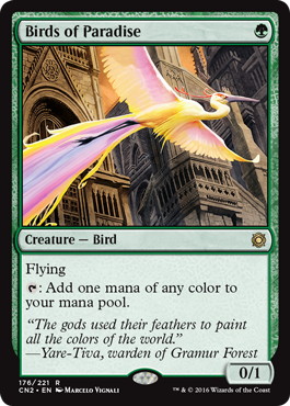 【ENG】《極楽鳥/Birds of Paradise》[CN2]