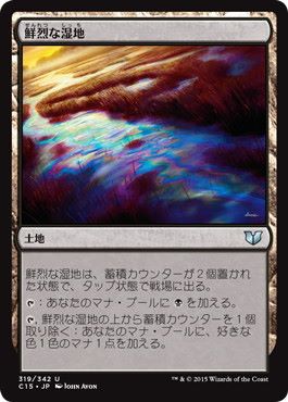 【JPN】《鮮烈な湿地/Vivid Marsh》[C15]
