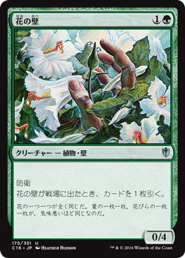 【JPN】《花の壁/Wall of Blossoms》[C16]