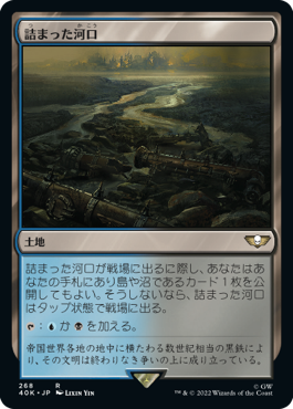 【JPN】《詰まった河口/Choked Estuary》[40K]
