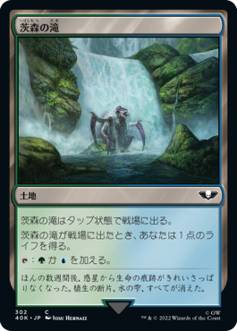 【JPN】《茨森の滝/Thornwood Falls》[40K]