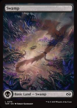 【ENG】【Foil】■ボーダーレス■《沼/Swamp》(274)[TDM]