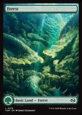 【ENG】【Foil】■ボーダーレス■《森/Forest》(276)[TDM]