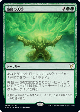 【JPN】《巫師の天啓/Shamanic Revelation》[C19]