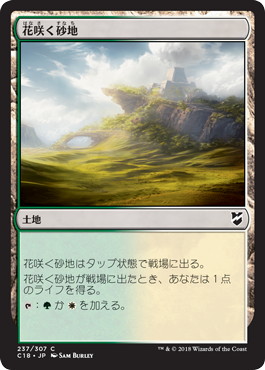【JPN】《花咲く砂地/Blossoming Sands》[C18]