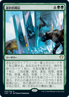 【JPN】《選択的順応/Selective Adaptation》[C20]
