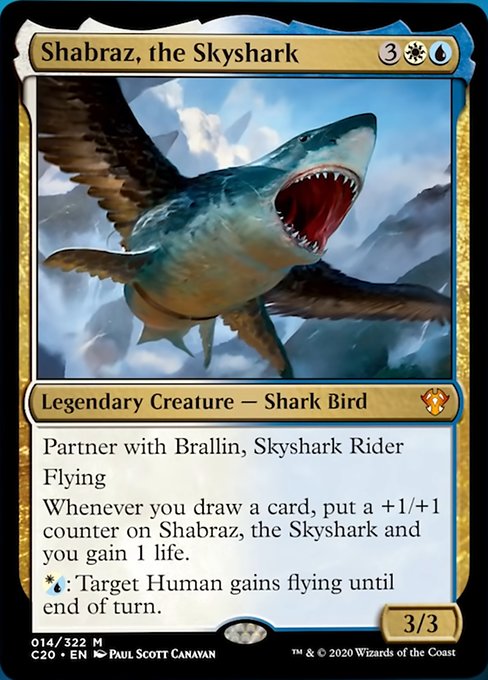 【ENG】《空鮫、シャーブラズ/Shabraz, the Skyshark》[C20]