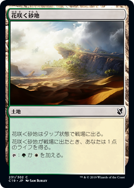 【JPN】《花咲く砂地/Blossoming Sands》[C19]