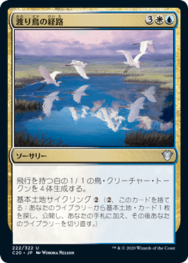 【JPN】《渡り鳥の経路/Migratory Route》[C20]