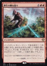 【JPN】《野生の跳ね返り/Wild Ricochet》[SCD]