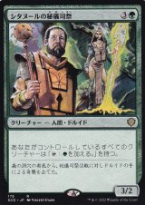 【JPN】《シタヌールの秘儀司祭/Citanul Hierophants》[SCD]