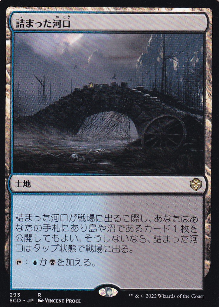 【JPN】《詰まった河口/Choked Estuary》[SCD]