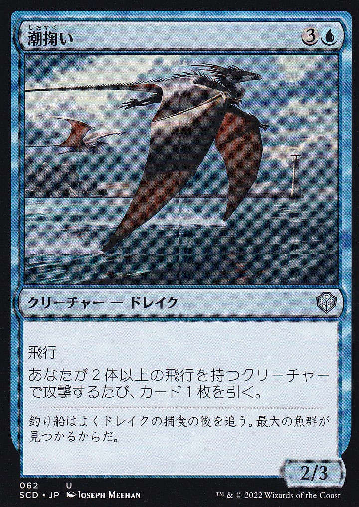 【JPN】《潮掬い/Tide Skimmer》[SCD]