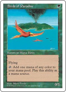 【ENG】《極楽鳥/Birds of Paradise》[5ED]