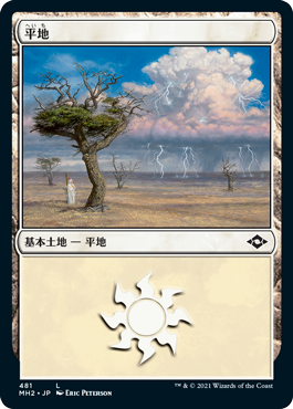 【JPN】【Foil】■エッチング■《平地/Plains》(481)[MH2]