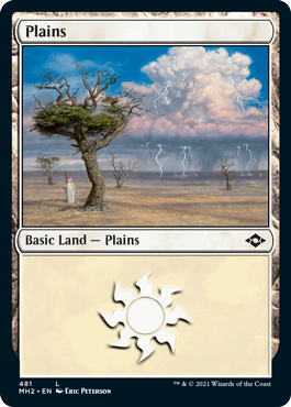 【ENG】【Foil】■エッチング■《平地/Plains》(481)[MH2]