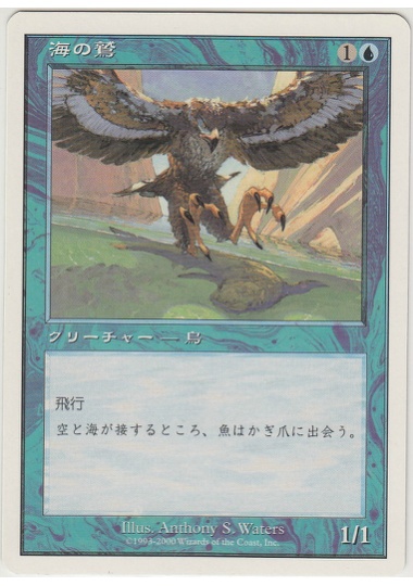 【JPN】《海の鷲/Sea Eagle》[S00]