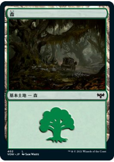 【JPN】《森/Forest》(402)[VOW]