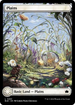 【ENG】【Foil】■フルアート■《平地/Plains》(263)[BLB]