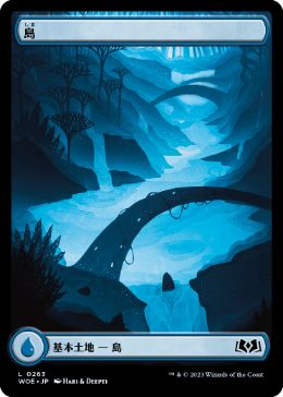 【JPN】■フルアート■《島/Island》(263)[WOE]